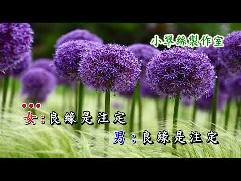 郎你莫忘情 – 卡拉OK純音樂