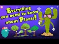 Plant Adaptations and Functions
