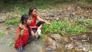 Survival skills: Catch Frog and Crabs in river for food of survival, Cooking frog & Crab for lunch