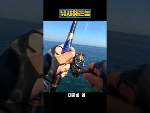 대물감성돔 쉽게 잡는 법