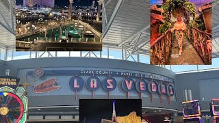 Vegas Day 1 🎰🤗