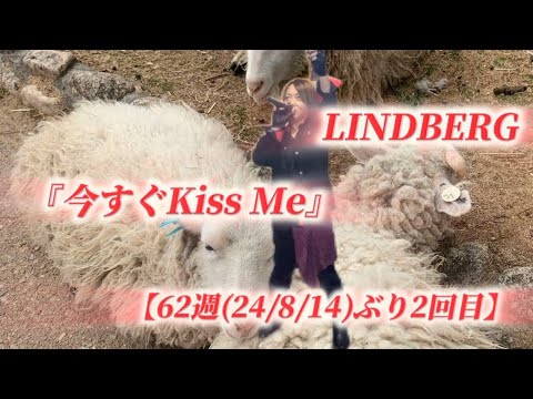 25/10/18(土)  LINDBERG  『今すぐKiss Me』  【62週(24/8/14)ぶり2回目】  Try🎤