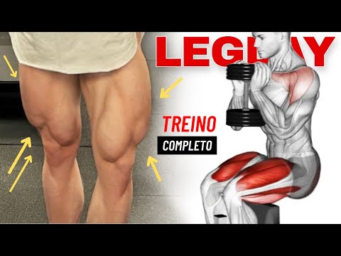 Treino de Pernas Pesado Com Foco Em Quadriceps