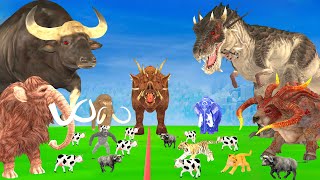 5 Mammoth Elephant Cow vs Giant Indian Bison Bull Dinosaur vs Giant Lion Tiger Mammoth vs Bison