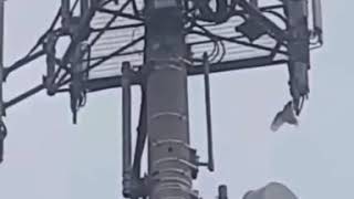 F1V3 JEE TOWER attacked by B1RDS