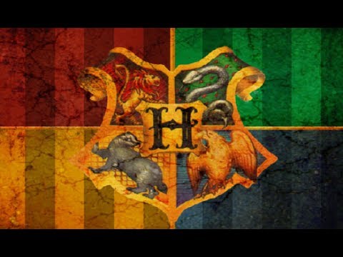 Harry Potter e la Camera del Roleplay