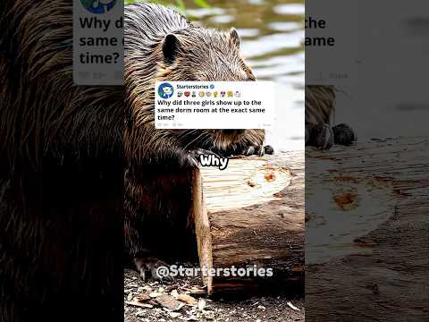 Why did three girls show up to the same dorm room at the exact same time?
