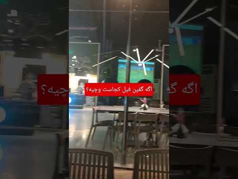 فیلو پیدا کن #campping #love #فیلم