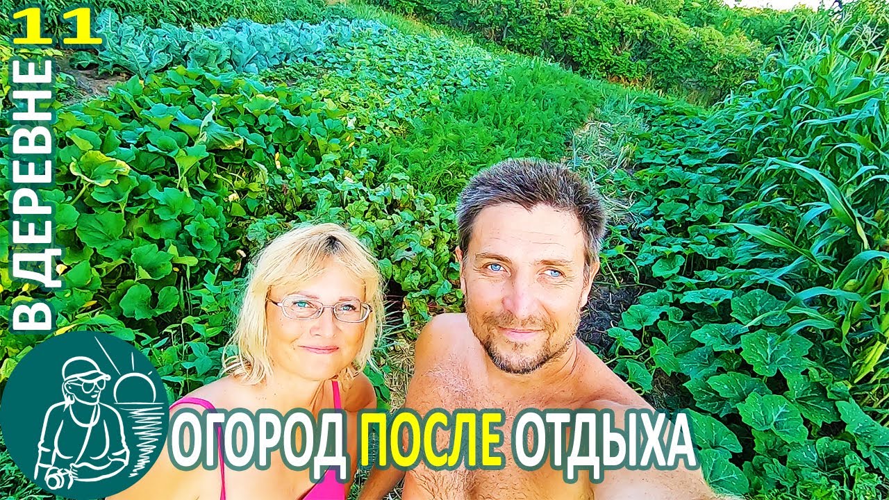 Что случилось с огородом пока мы отдыхали на море жизнь гордеевых в деревне - влог 11