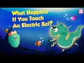 Electric Eels: Nature's Shocking Creatures