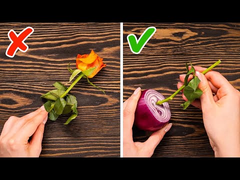 ¡Artilugios para el jardín y trucos de reciclaje que salvan plantas, tiempo y dinero! 🛠️💚