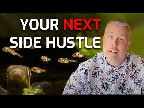 If you dream of selling aquarium fish, this video is for you...