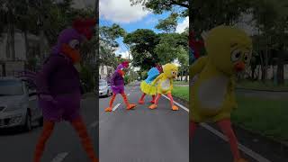 Hoje Galinha vai aprender a nadar | Galinha Pintadinha Extras #shorts
