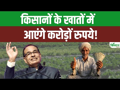 Pradhan Mantri Fasal Bima Yojana: किसानों के खातों मे आएंगे 1,156 करोड़ । Shivraj Singh Chouhan