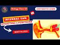 Anatomy and Function of the Ear