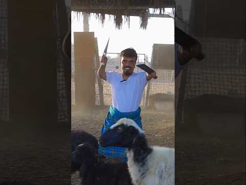 Saudi Arabia's butchers become rich on Eid al-Adha #shortsvideo