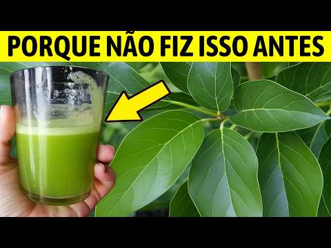 DIABETES cai para 90 na hora! Acaba a DOR NO CORPO, Colesterol e Melhora a PRESSÃO (Melhor Remédio)