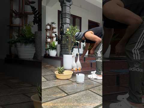 #garden #homegardens #indoorplant #gardening #jishnuuthaman