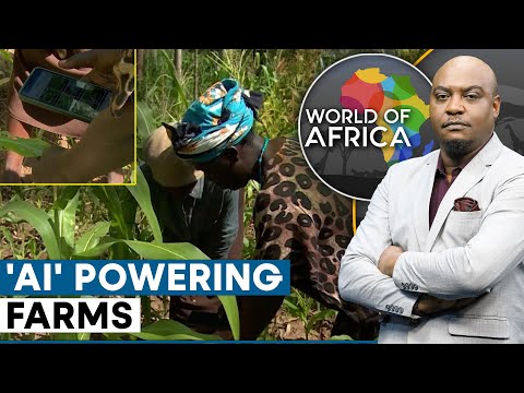 Farmers Use 'AI' To Diagnose Crop Diseases | World Of Africa | World News