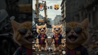 barcelona #catlovers #shorts #feedshorts