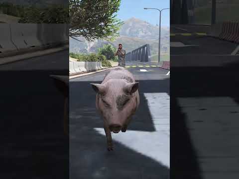 QUAL ANIMAL CONSEGUE INVADIR O EXÉRCITO?