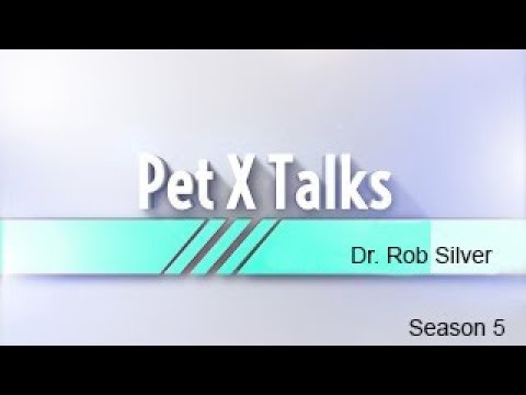 Pet X Talks - Dr. Rob Silver - Medical Cannabis Part 1- What every pet parent needs to know