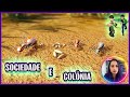 Relações Ecológicas e Funções em Colônias