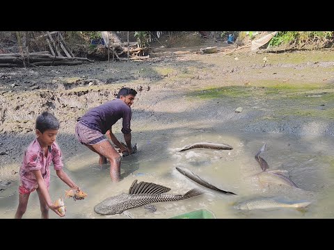 শীতের সকালে আমাদের পুকুর সেচে কি কি মাছ ধরলাম আজ। Fishing video। Pond fishing। Winter season 2024