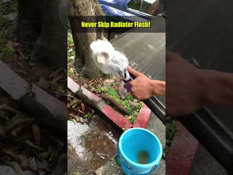 Lihat Cairan Pendingin yang Kotor Ini! 😱 Kuras Radiator untuk Menyelamatkan Mesin Anda!