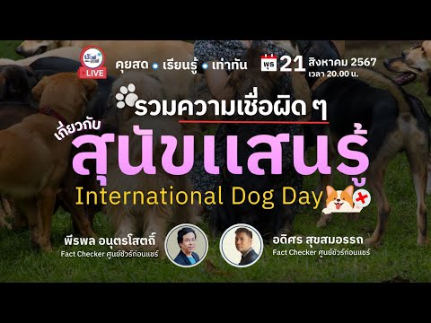 🔴รวมความเชื่อผิดๆเกี่ยวกับสุนัขแสนรู้InternationalDogDayชัวร