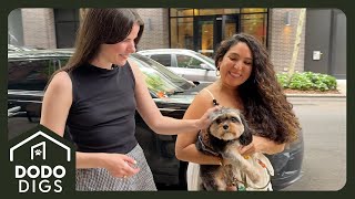 Woman Designs Her 472 Sq. Ft SoHo Apartment Around Her Dog | Dodo Digs