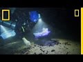 Fossil Discoveries in Dominican Caves