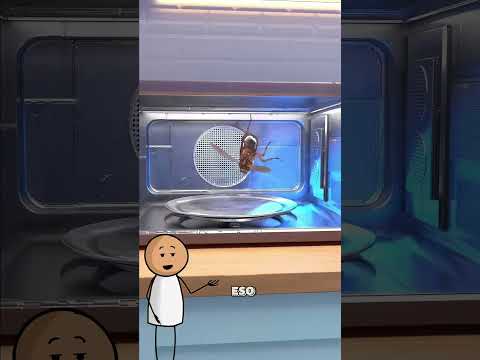 🪳 "La cucaracha que venció al microondas. #sabiasque #datoscurisos #curiosidades #history #story