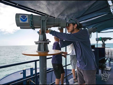 Vaquita Survey Press Conference