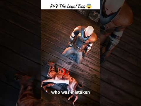 Legend of Loyal Dog ๐ #shorts