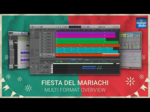 Multi Format Overview - Fiesta Del Mariachi