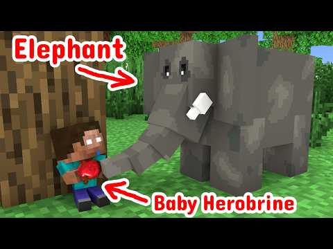 Baby Herobrine Life! - Minecraft animation