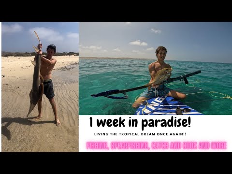 Living The Tropical Dream! (FISHING, SPEARFISHING CATCH AND COOK)!!!