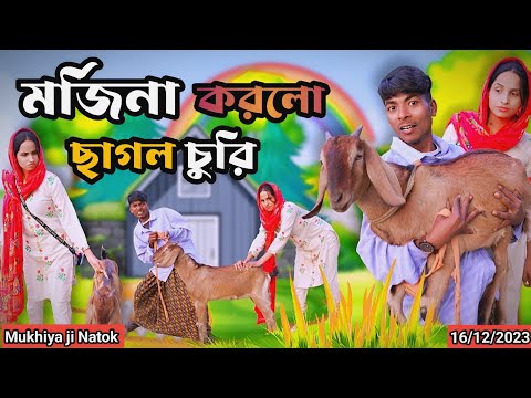 মর্জিনা করলো বকরি চুরি Morjina Natok Comedy  | Mukhiyaji Funny Video | 2023 Bangla