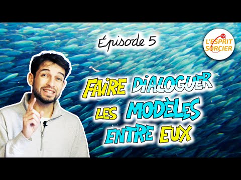 Comment expliquer que les poissons rétrécissent ?