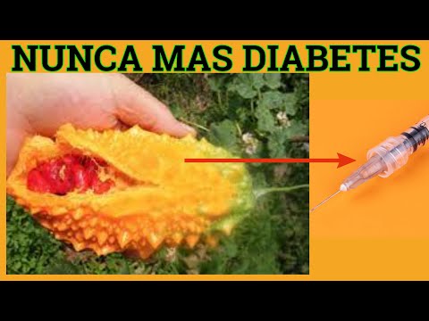 La Fruta 100% de Insulina Natural para la Diabetes, baja el Azúcar y aumenta la insulina