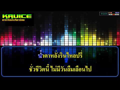 วันเกษียณ  คาราโอเกะกีตาร์สด – ไก่ พรรณนิภา