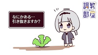 ⋆⸜ 調教部屋  ⸝⋆ (´º∀º｀)【白百合リリィ / ビビドニア 】