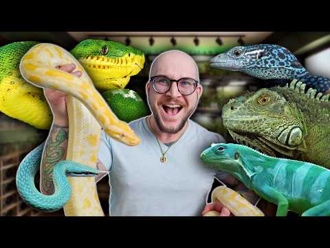 My Biggest Reptile Room Tour Ever! $10,000 in NEW Reptiles!