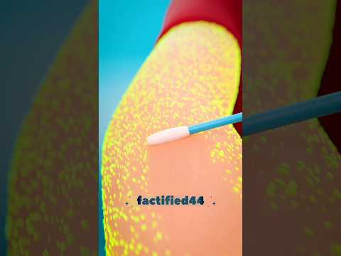 क्या आपकी त्वचा बना सकती है ब्रेड? #shortsfeed #shorts #animation #ytshorts #viralshort #facts