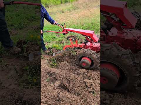 Батя пашет мотоблоком Беларус 09Н. #farming #казаковсергей #агро