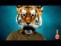 Exploring SciShow Concepts and Ideas