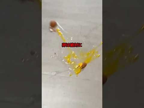 シバコの卵は絶対に割るな#しばこ#シバコ界隈#トレンド