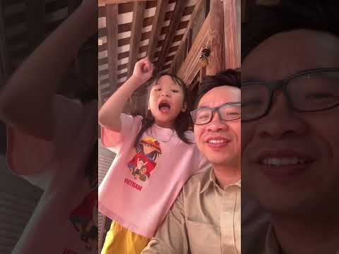 Ngày đẹp trời tôi đi ăn cưới lãi cả năm