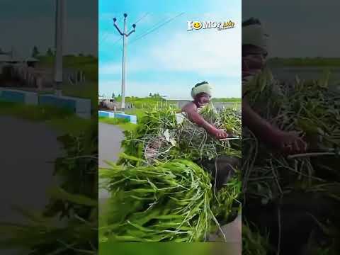 Способ Рамазана 😂 #юмор